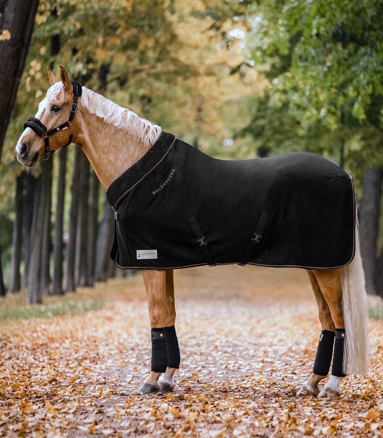 Waldhausen Modern Rose - Zweetdeken fleece - Zwart - 125/175
