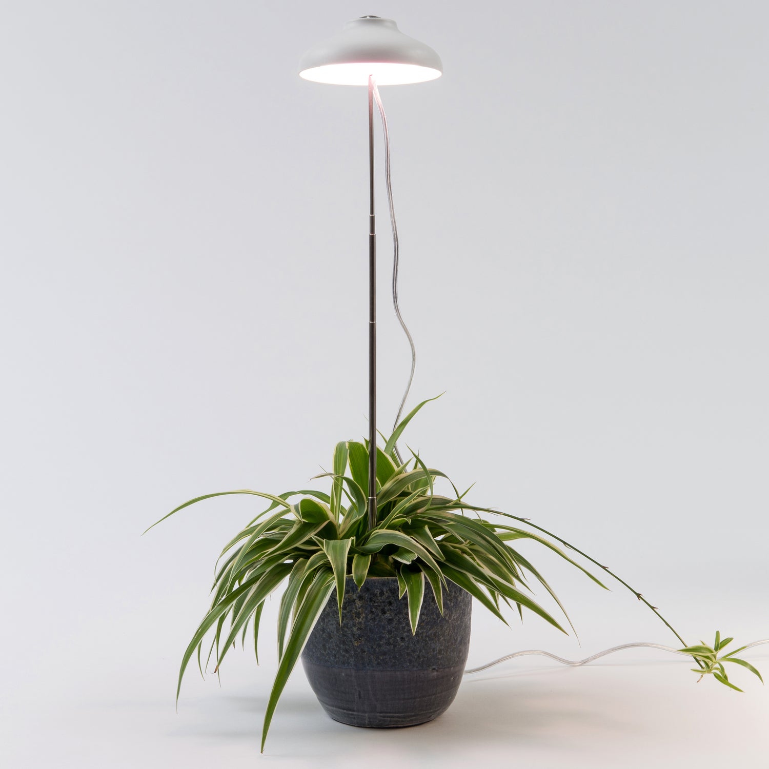 Intratuin kweeklamp wit met LED verlichting D 11 H 22 cm