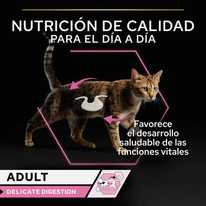 Pro Plan Delicate Digestion com Peru ao Molho para Gatos