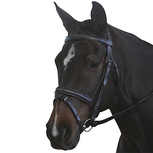 Kincade Brown Leather Padred