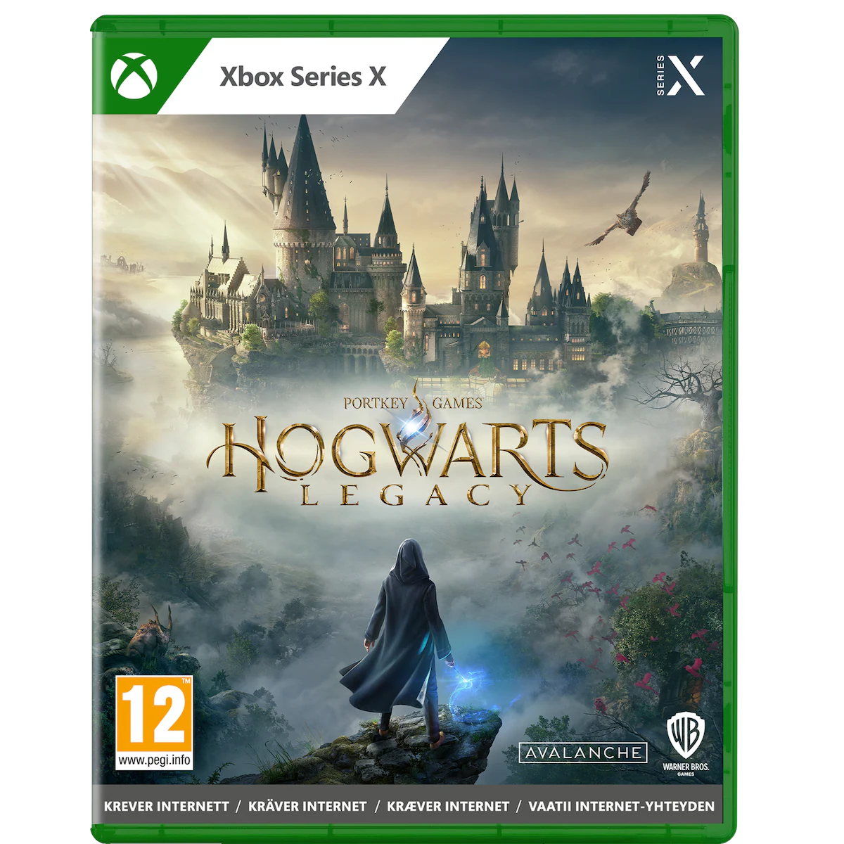 Hogwarts Legacy (Xbox Series X)