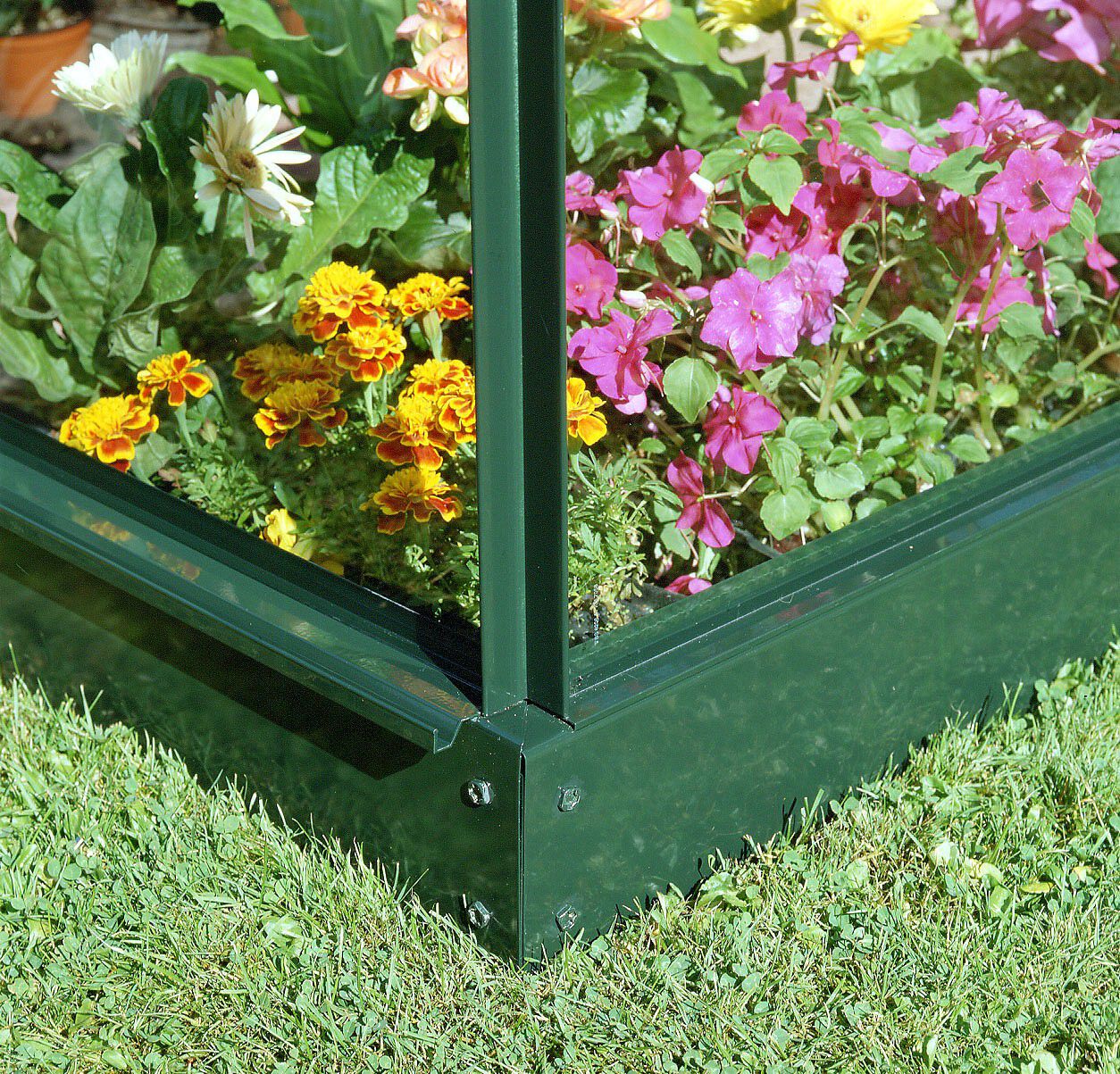 Royal Well Kate V - Tuinkas - Groen - 217x192x436 cm - Veiligheidsglas