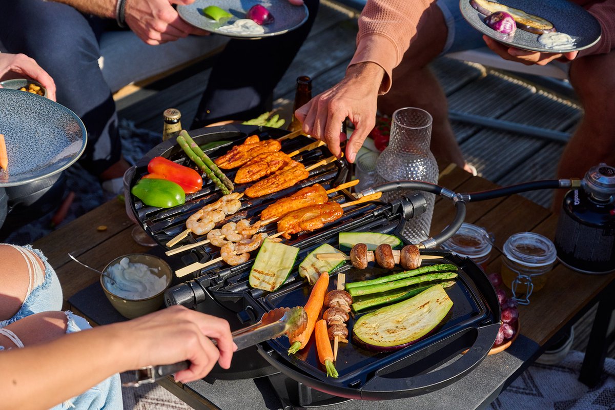 nomadiQ BBQ ESSENTIALS draagbaar gasbarbecue pakket