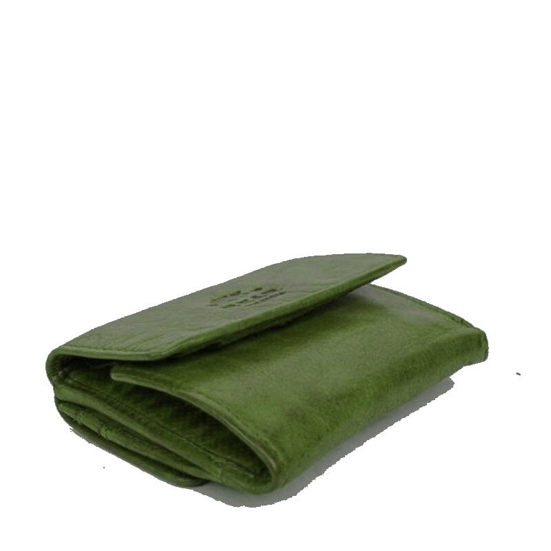 Bear Design Kleine Portemonnee Jolie Groen