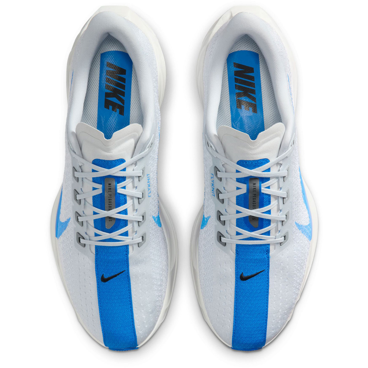 Nike Pegasus Plus Heren