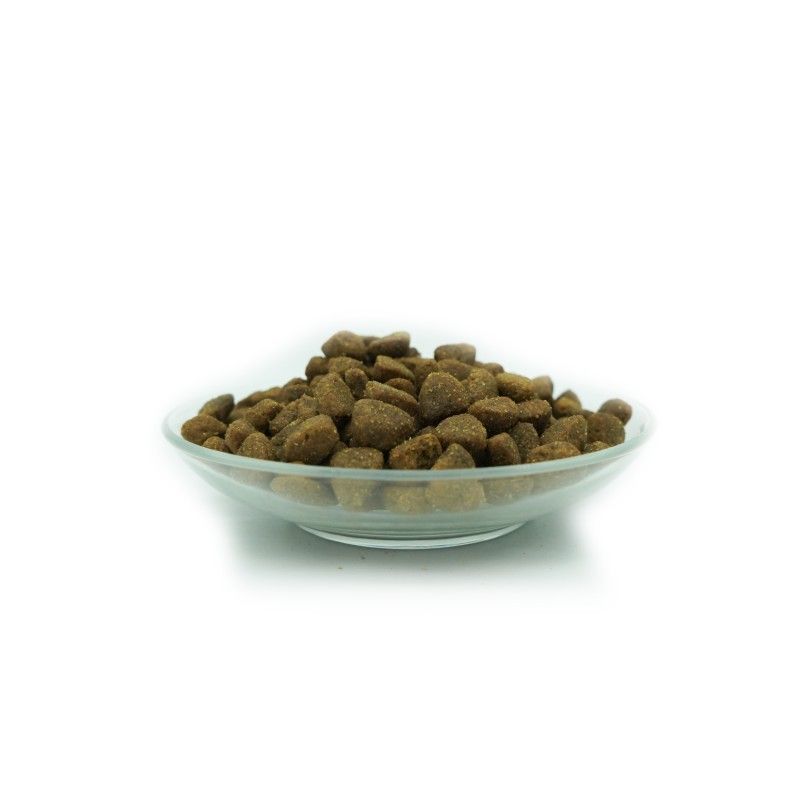 Bellfor Deutschen Schäferhund Futter Set