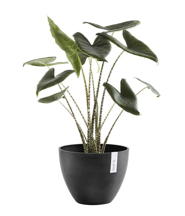 Ecopots Kunststoff-Topf Antwerp, rund