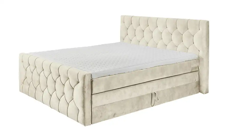 Boxspringbett Cashfield
