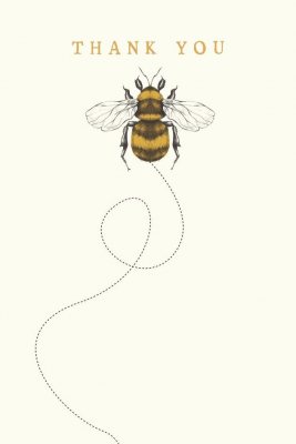 Bee Thank You Notecards - Box Of 10