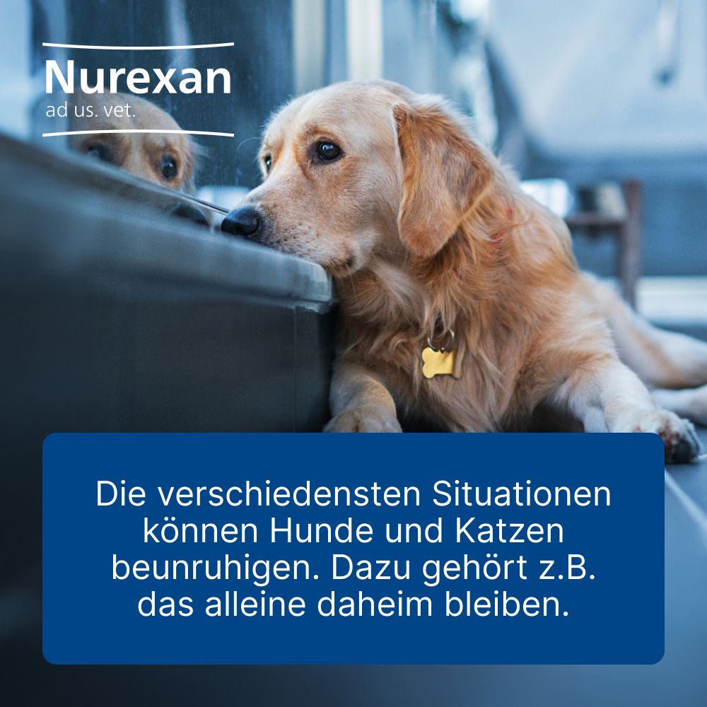 Nurexan ad us. vet.