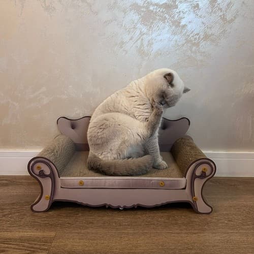 Cat scratcher - sofa Purlov 24285
