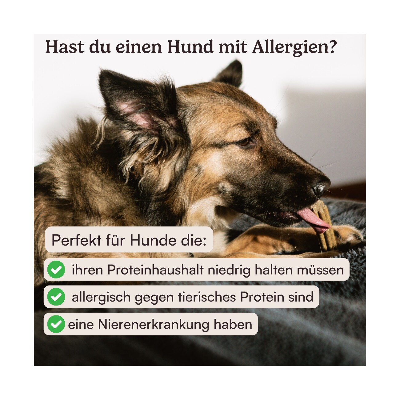 Hunderunde Zahnfee Dental Sticks – Frischer Atem & Zahnpflege 360 g