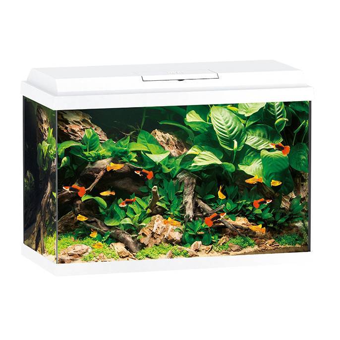 Juwel Primo 70 LED | Aquaria
