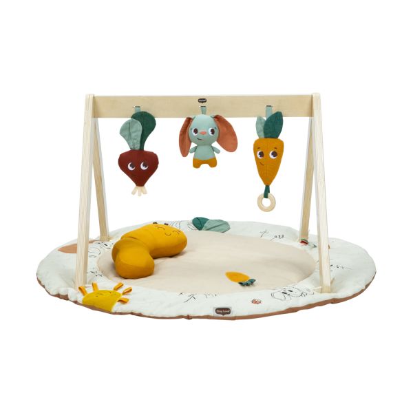 Tiny Love Luxe Gymini Garden Of Adventures