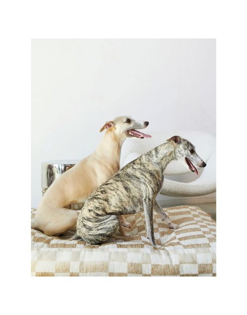 Dogguo Block Bed Beige - Hondenmatras
