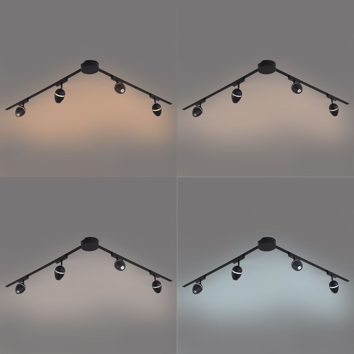 Modern railsysteem met 4 spots zwart 1-fase - Magnetic Eggy