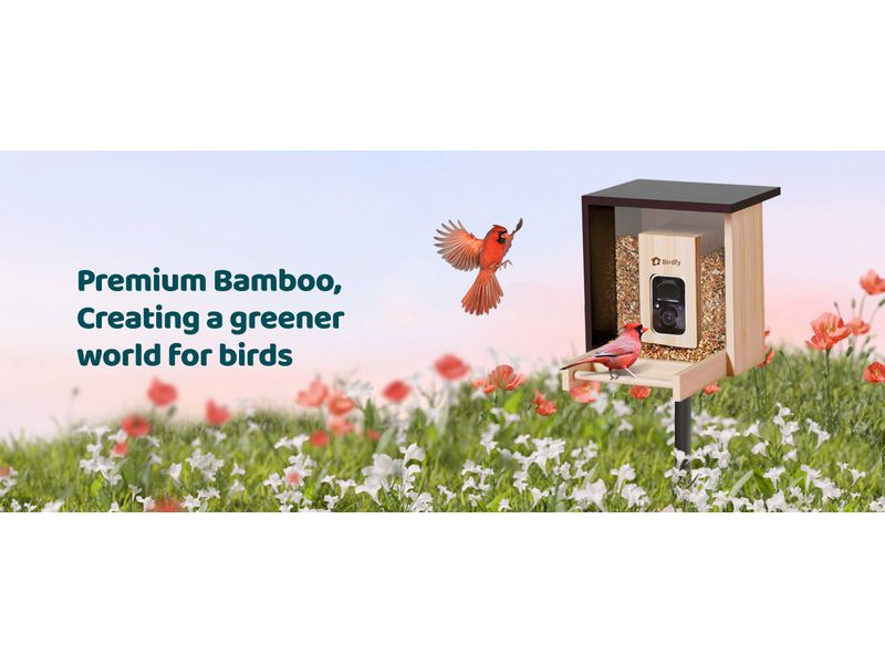 Birdfy Futterspender FSC Bambus Mini Solar Vogelfutterspender mit Kamera und Lifetime AI