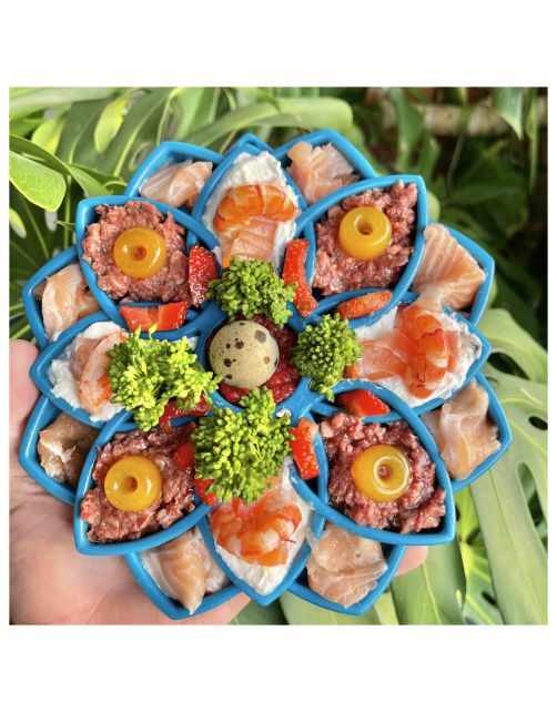 Sodapup Mandala Etray Feeder - Hondenvoerbak - Ø20 cm Blauw