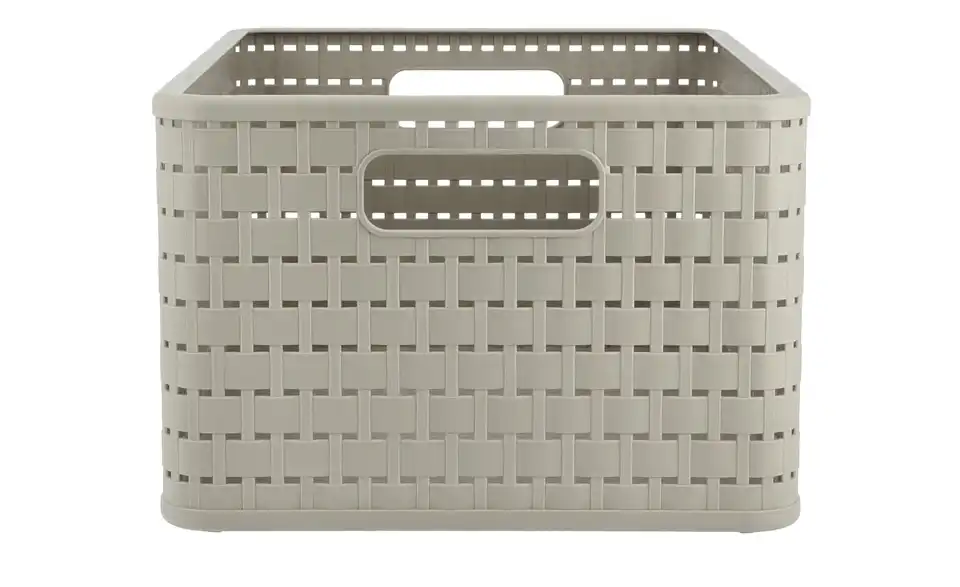 Rotho Aufbewahrungsbox 27,8 cm