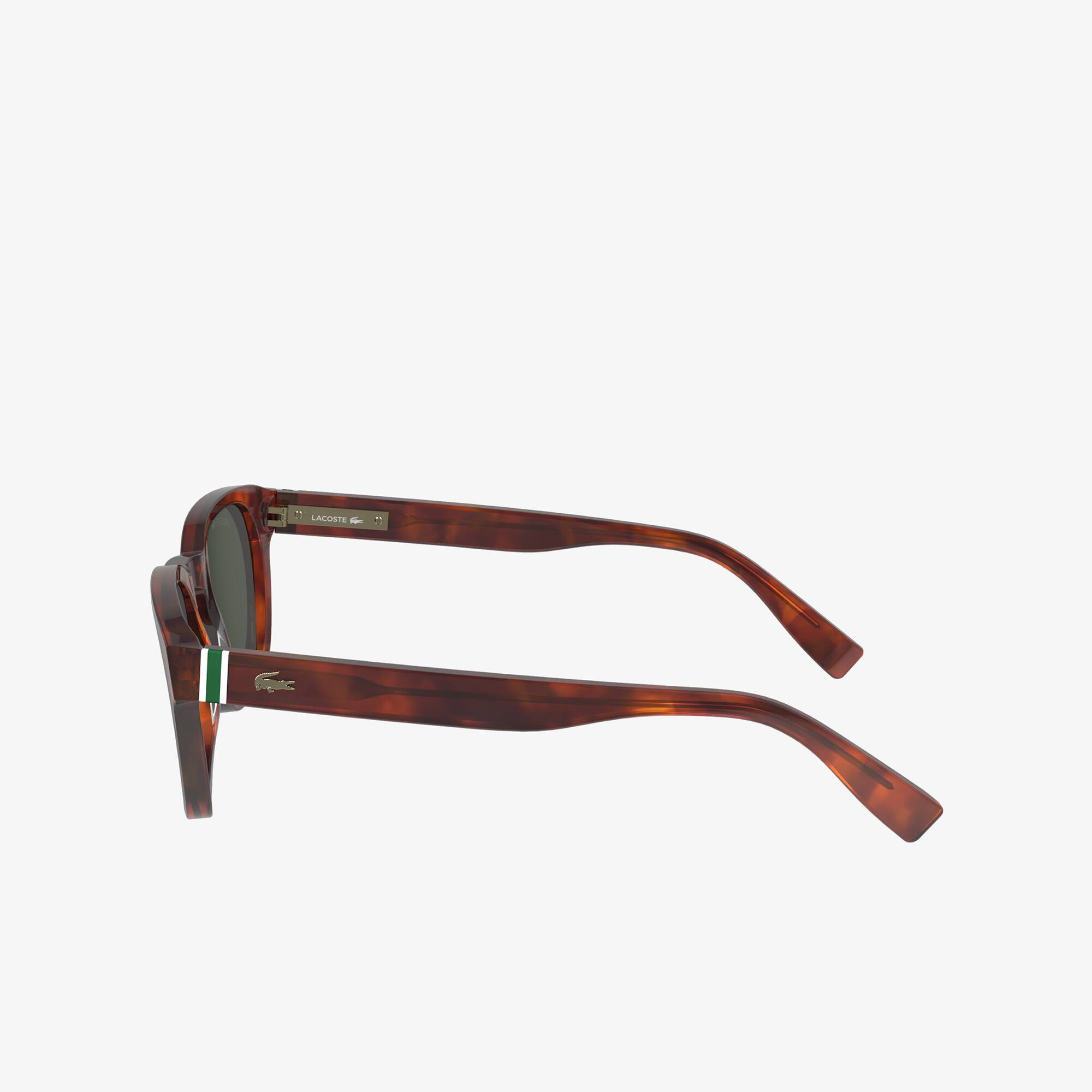 Lunettes de soleil Ribbon ovales en acétate Lunettes de soleil - Marron - Lacoste - Homme