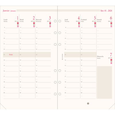 Oberthur - Recharge pour organiseur - 1 semaine sur 2 pages à la verticale - 9,5 x 19,5 cm