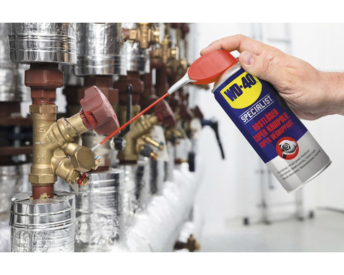 WD-40 Specialist® Roestverwijderaar 250 ml