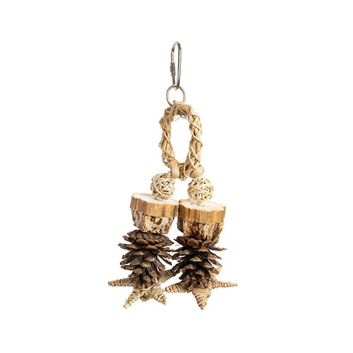 Back Zoo Nature Forest Ring