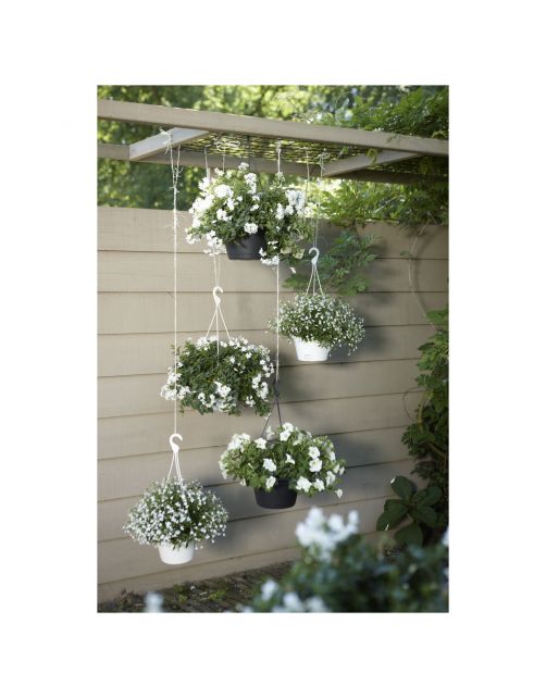 Elho Hangschaal Green Basics - Hangpot - 37x29x17 cm Zwart