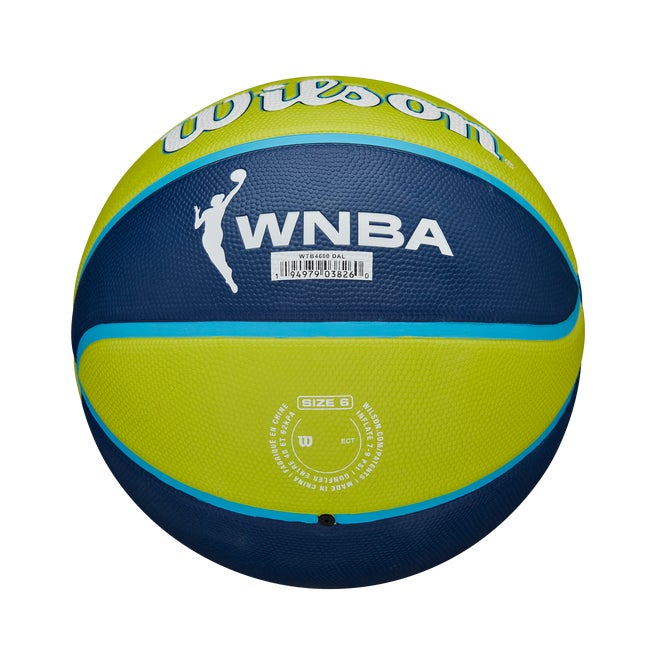 WNBA Tribute Basketball