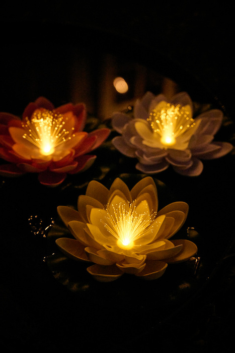 Solcelledrevet Lily åkande lampe - Garden