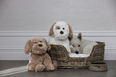 Teddykompaniet Kosedyr Selma 32 Cm, Creme