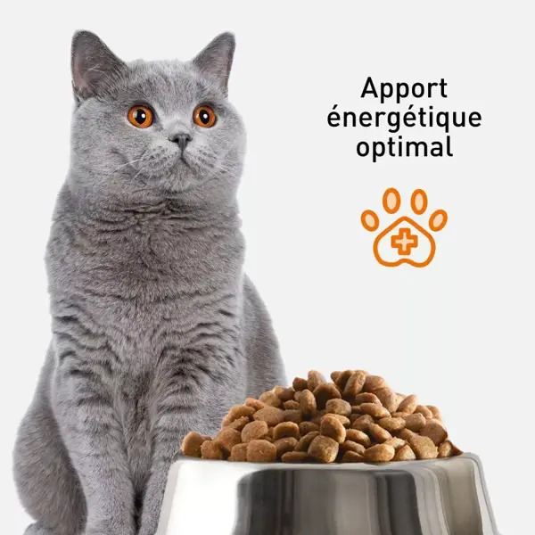 VetoNUT Gato Adulto 1kg