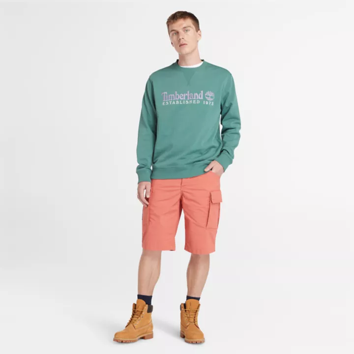 Sweat à col rond et logo Est. 1973 pour homme en bleu sarcelle
