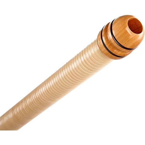 Alfons Neumann Alphorn Meisterklasse