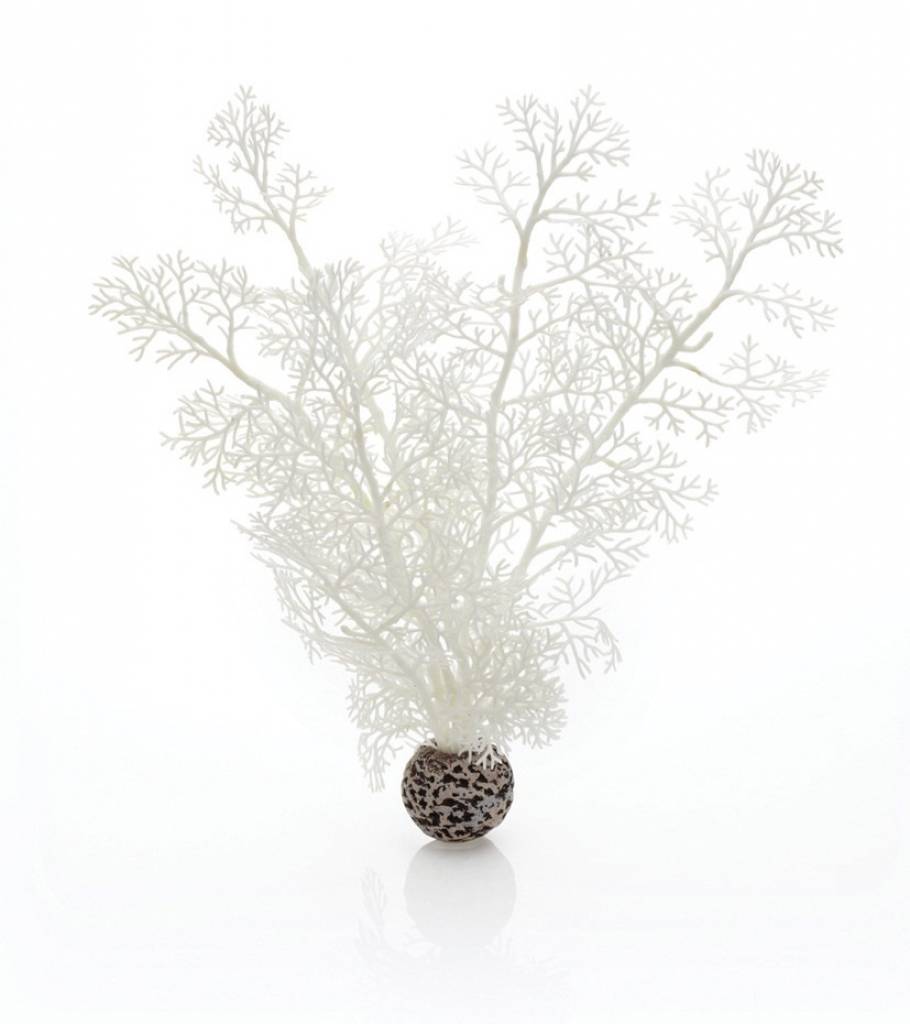 Sea fan white medium 30cm | decoratie aquarium