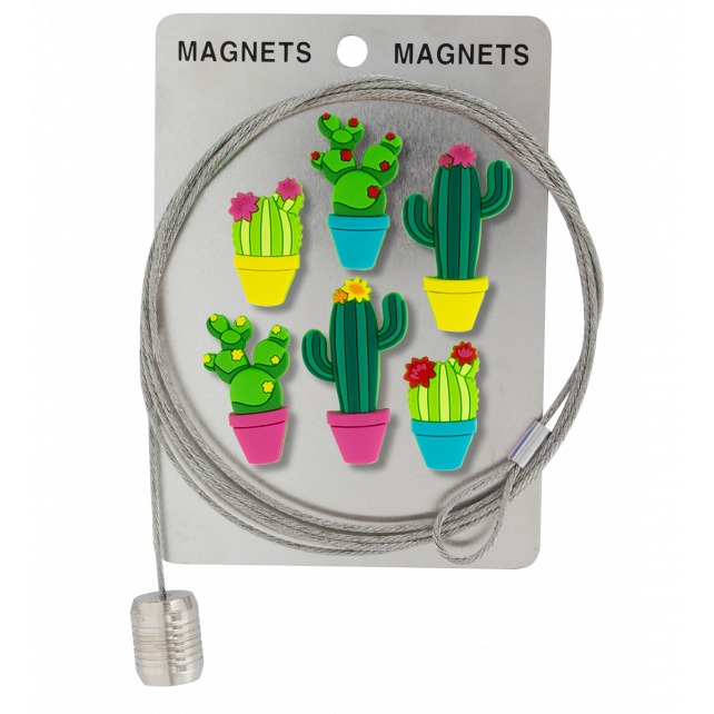 Câble porte photos et magnets - Magnetic Cable