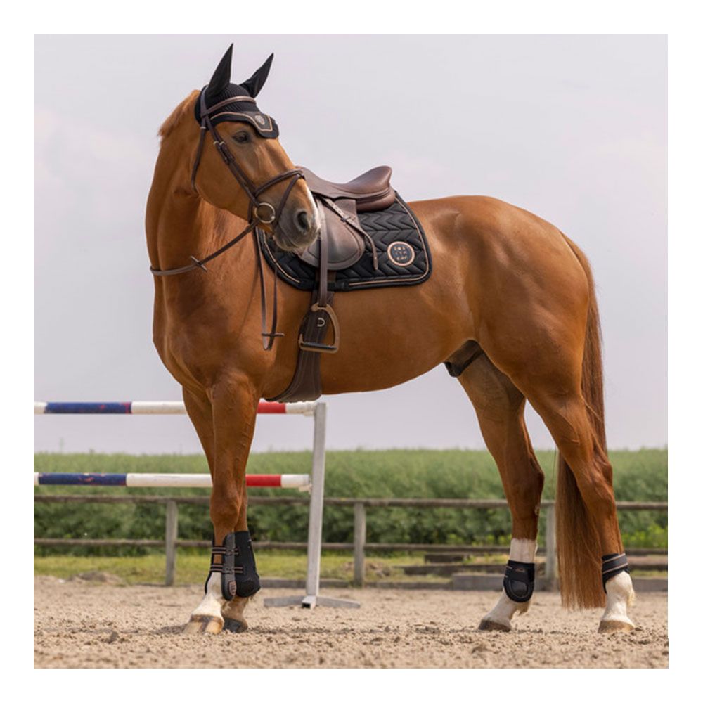 Equitheme SKOLSTART - Tapis mixte noir