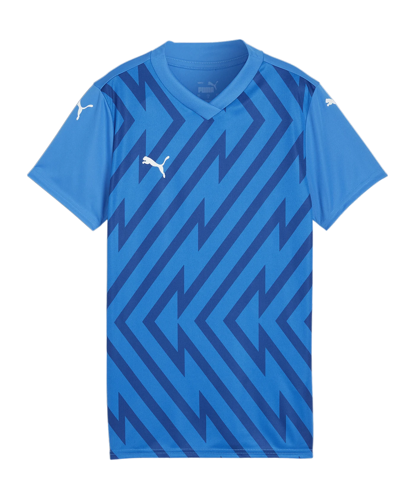 PUMA teamGLORY Trikot Damen Blau F02