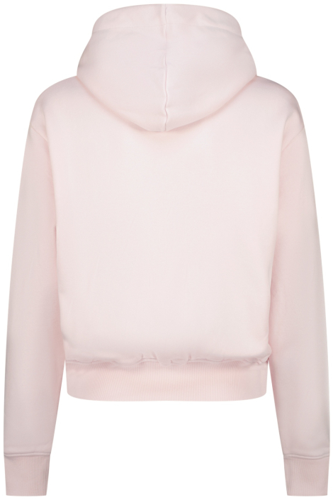 Raizzed roze dames sweater