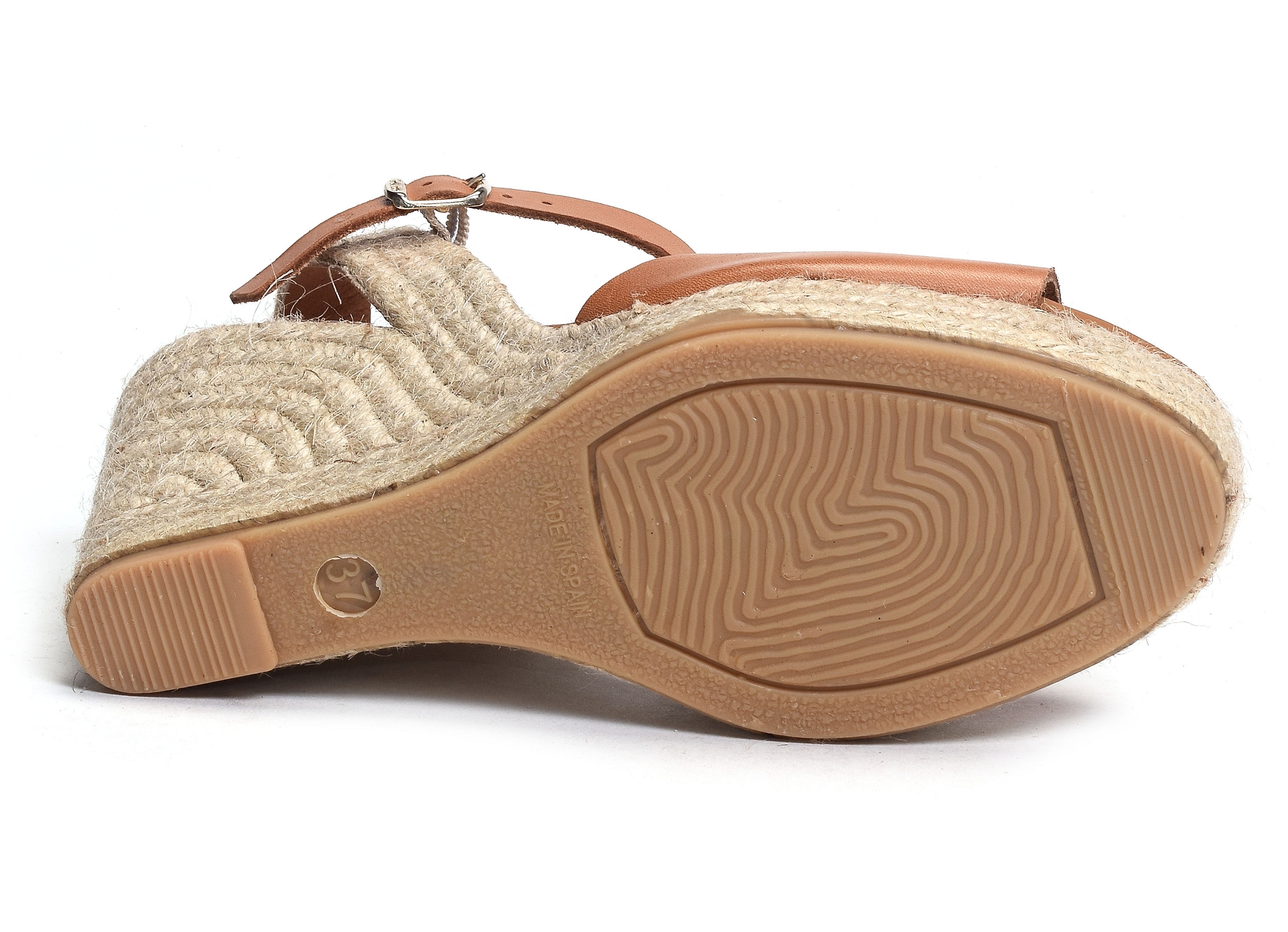 Iman camel