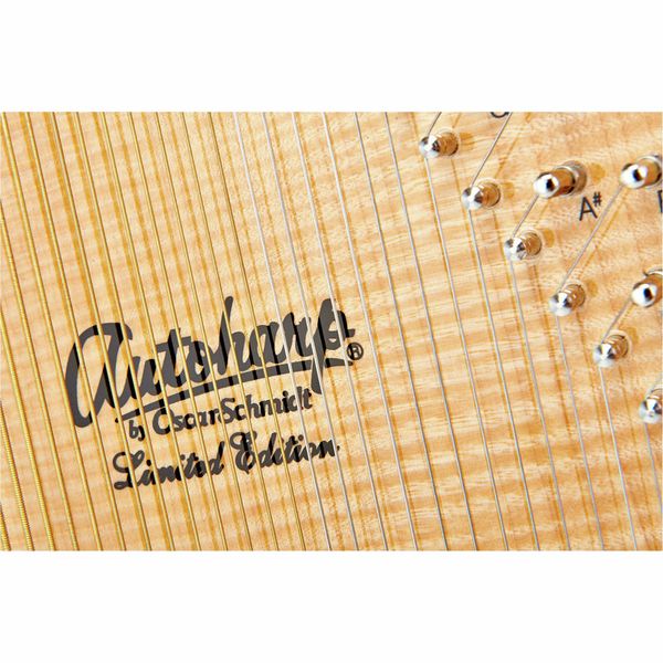 Oscar Schmidt OS110 21FNE Autoharp