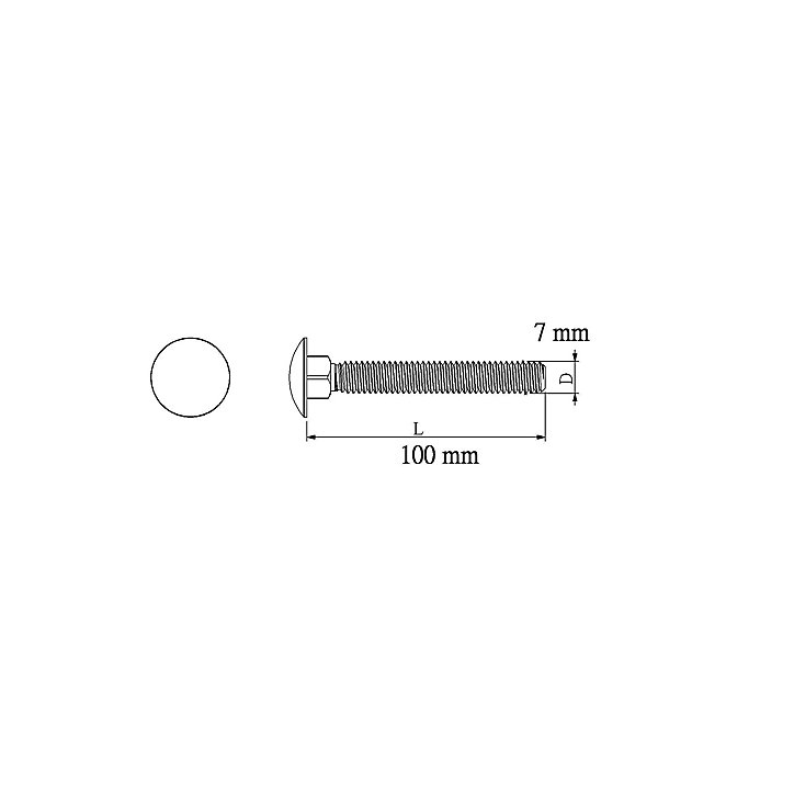 10 boulons tête ronde collet carré 7 x 100 mm