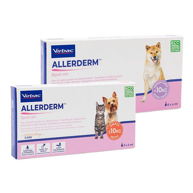 Allerderm Spot-on 6 x 2 ml voor kleine honden en katten