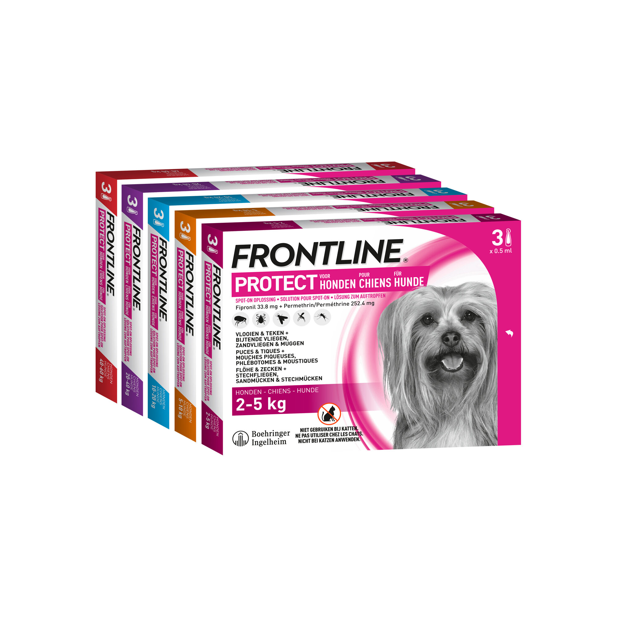 Frontline Protect Hond Spot On
