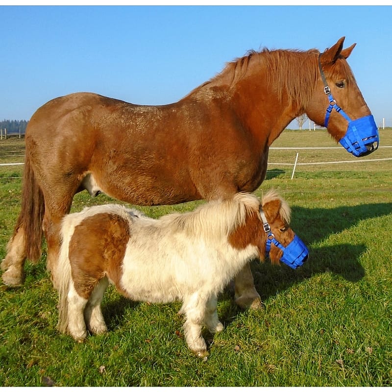 Anti Graas Masker The Ultimate Muzzle Shetland 48 cm