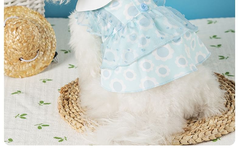 Cissilli - Gelaagde jurk met bloemenprint voor huisdieren