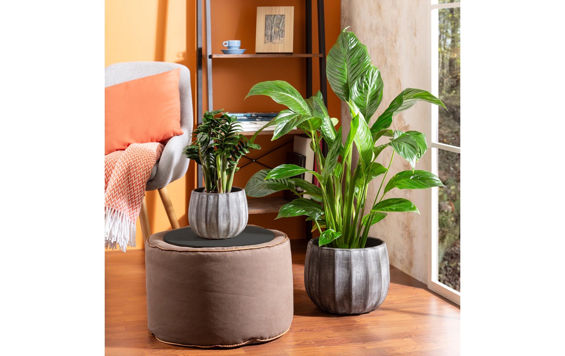 Scheurich Blumentopf »Runa 13 l«