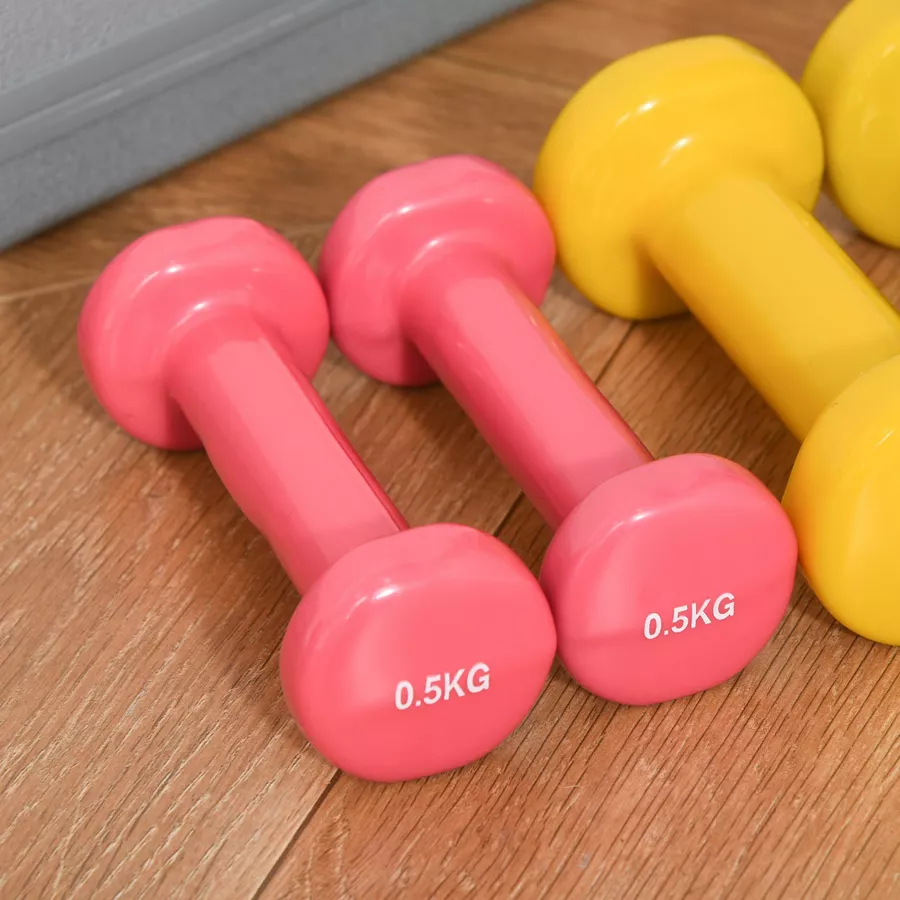 HOMCOM Hantel Set 6 kg bunt