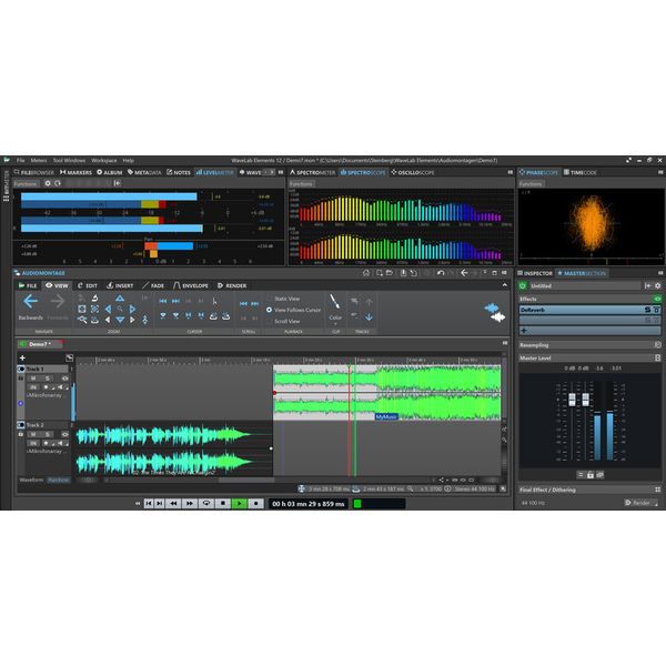 Steinberg Wavelab Elements 12