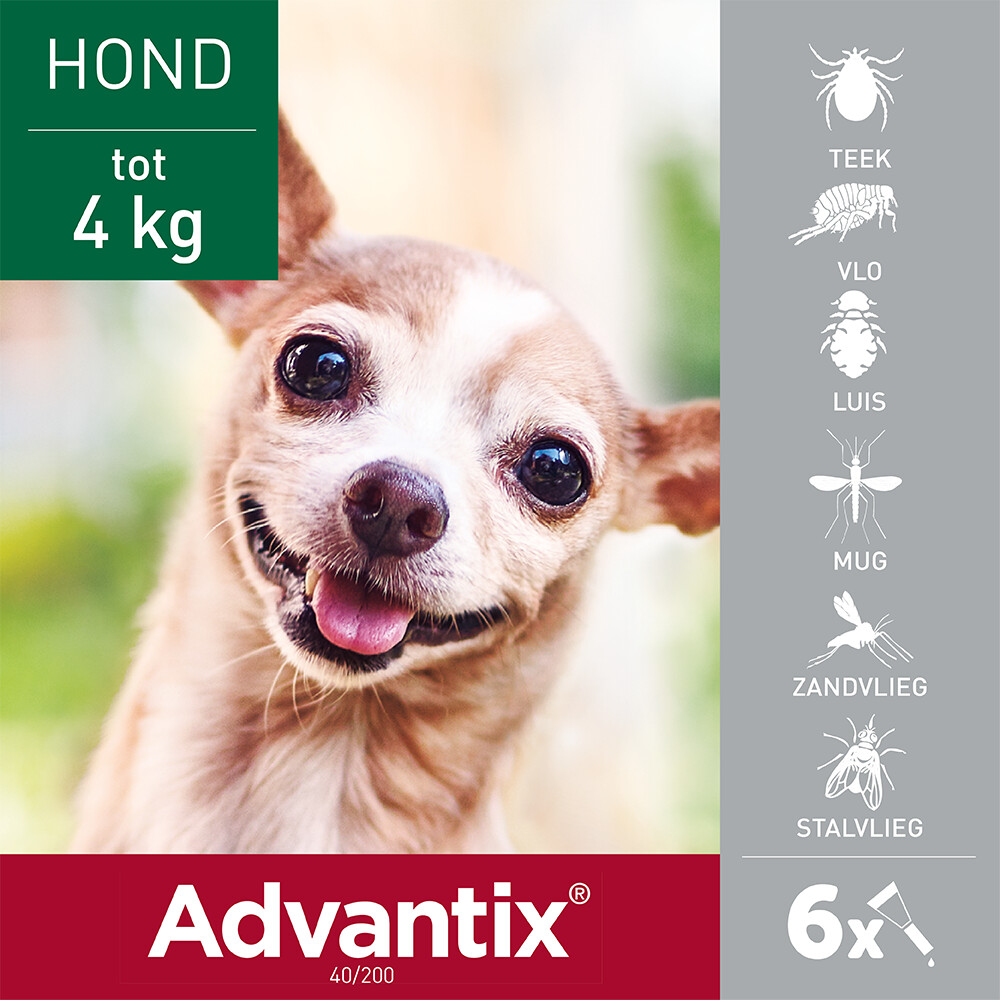 Advantix Spot On 40 Anti Vlooien en Teken Druppels Hond tot 4 kg6 pipetten